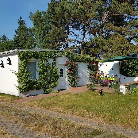 Ferienhaeuschen Villa Born Dış mekan fotoğraf