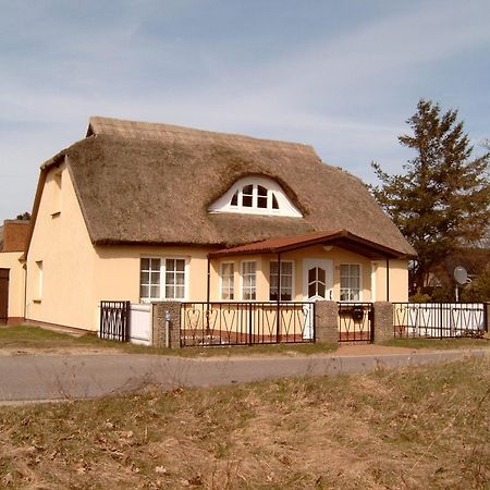 Ferienhaeuschen Villa Born Dış mekan fotoğraf
