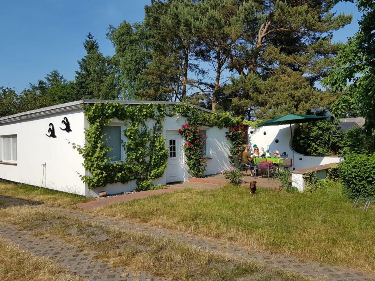 Ferienhaeuschen Villa Born Dış mekan fotoğraf