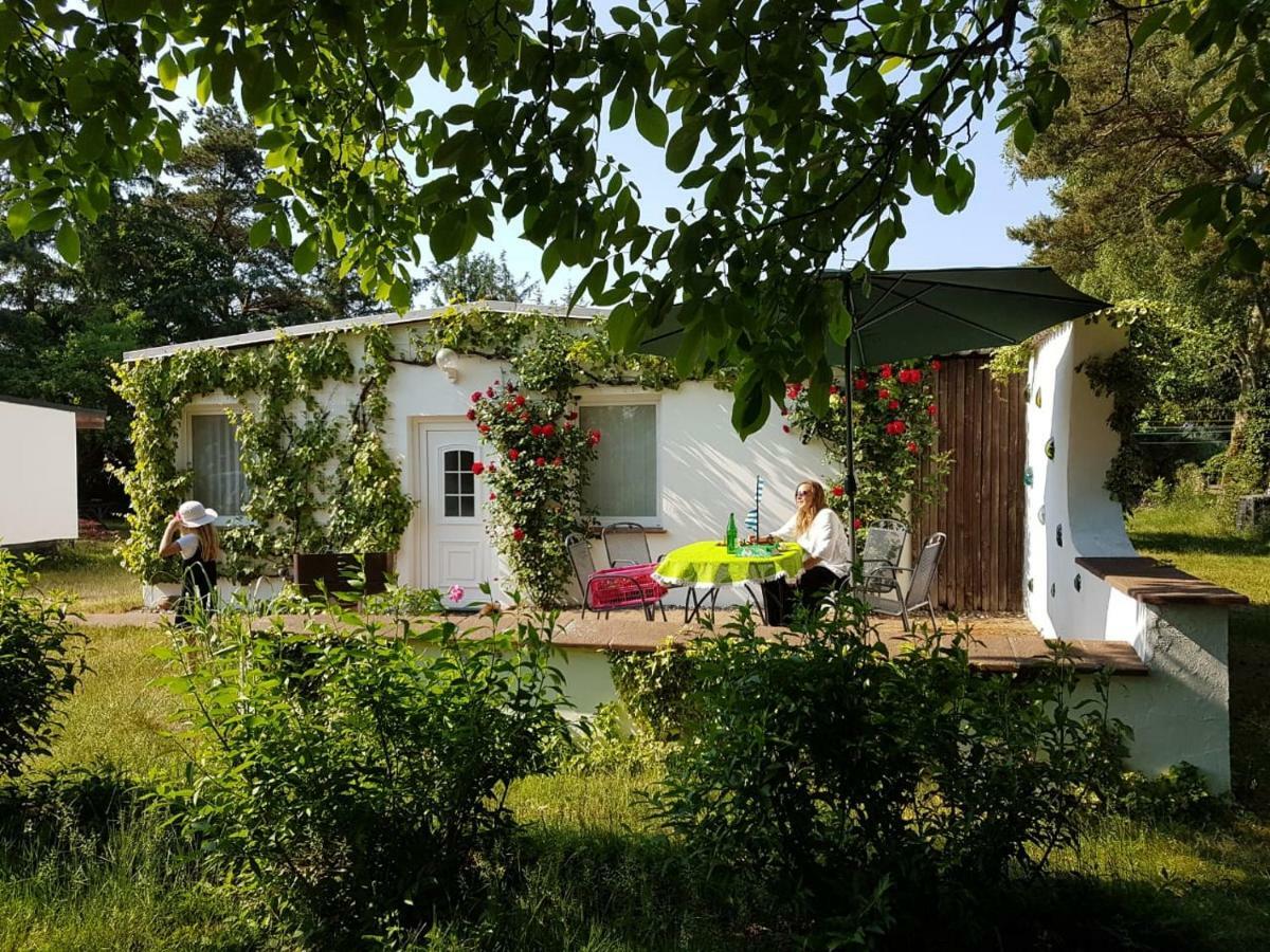 Ferienhaeuschen Villa Born Dış mekan fotoğraf