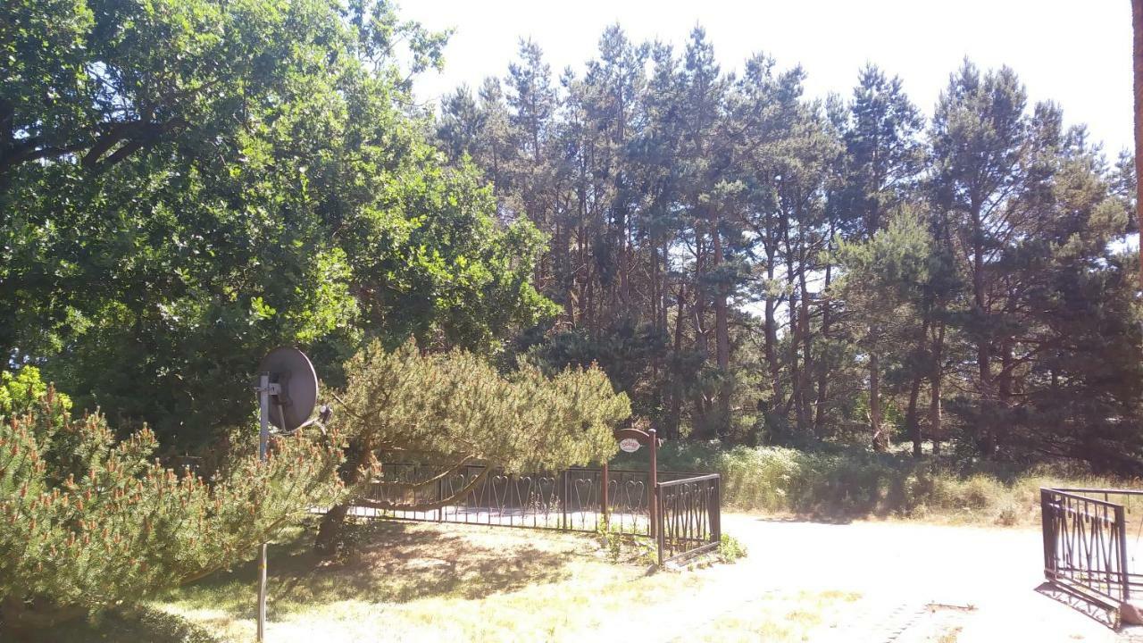 Ferienhaeuschen Villa Born Dış mekan fotoğraf