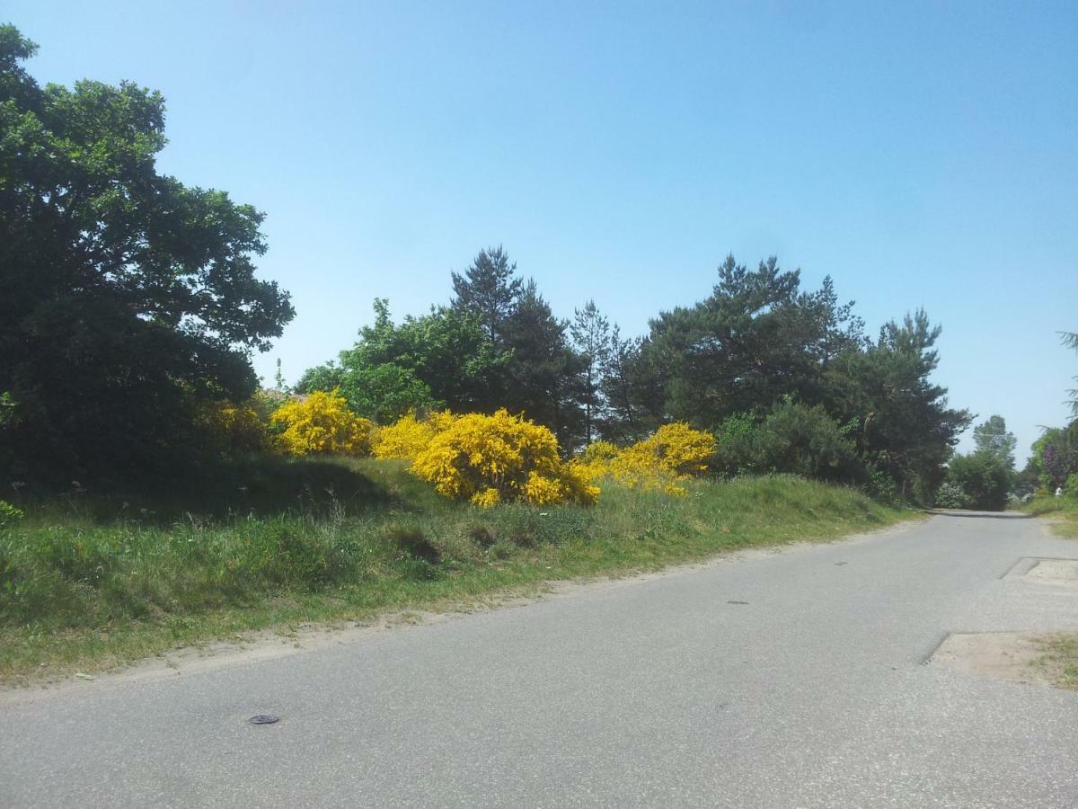 Ferienhaeuschen Villa Born Dış mekan fotoğraf