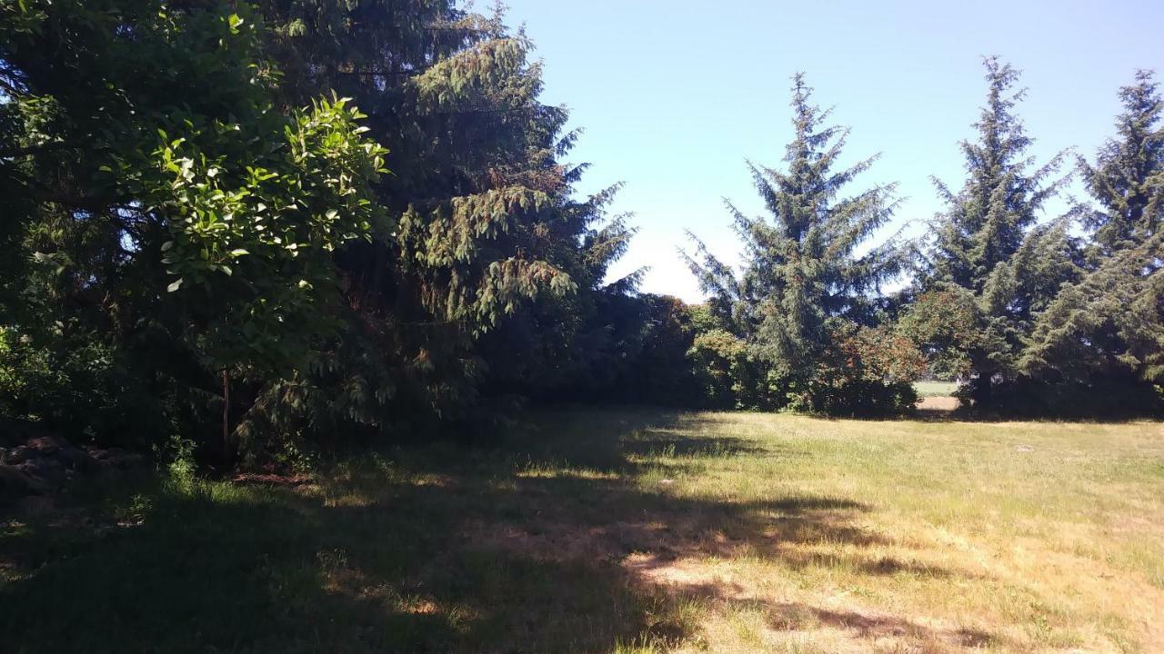 Ferienhaeuschen Villa Born Dış mekan fotoğraf