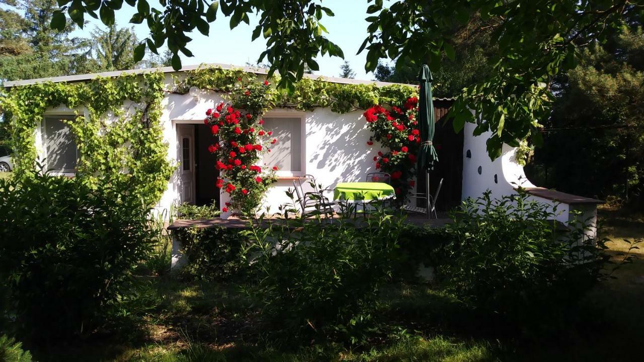 Ferienhaeuschen Villa Born Dış mekan fotoğraf