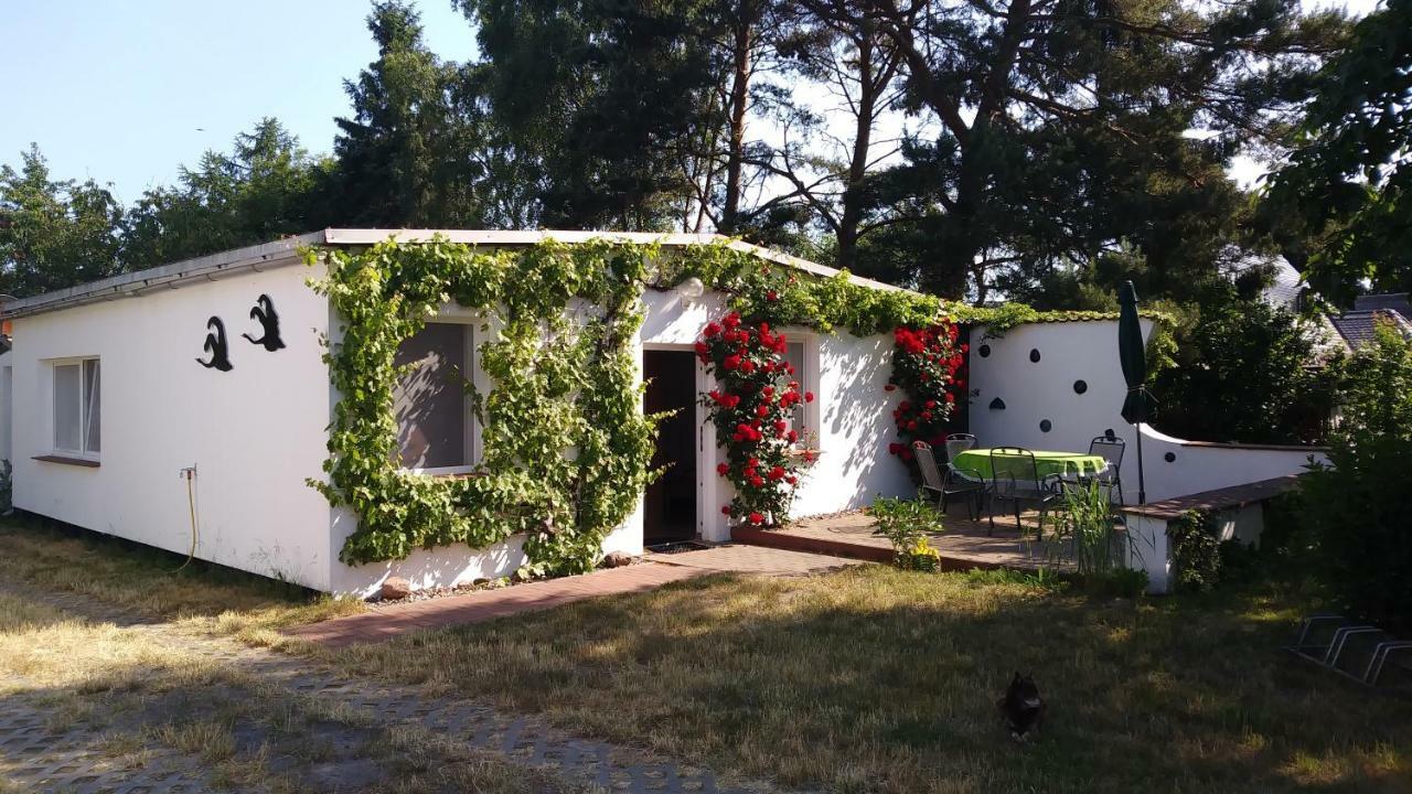 Ferienhaeuschen Villa Born Dış mekan fotoğraf