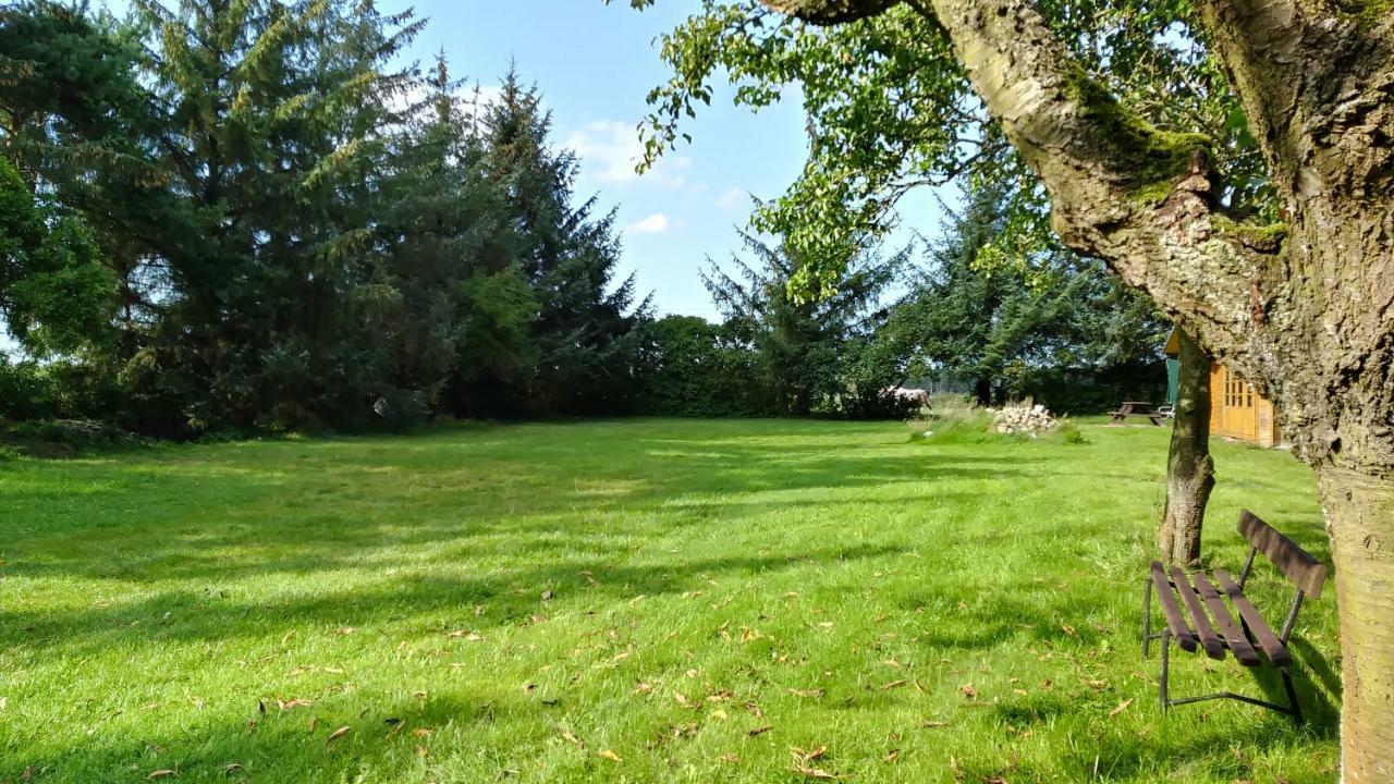 Ferienhaeuschen Villa Born Dış mekan fotoğraf