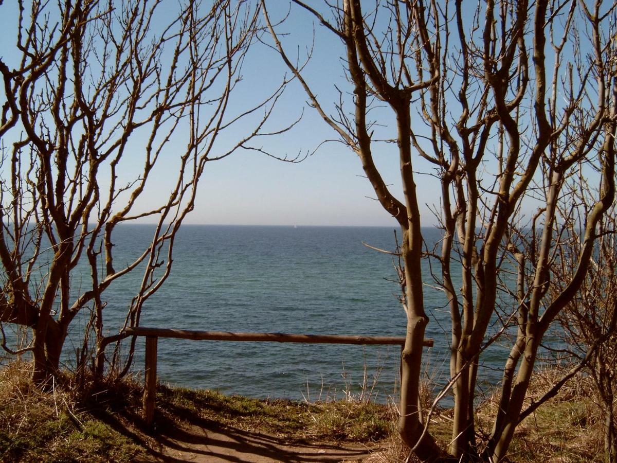 Ferienhaeuschen Villa Born Dış mekan fotoğraf